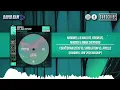 Countdown 2026 vs. Simulation vs. Apollo (Hardwell UMF 2026 Mashup) [David Nam Remake]