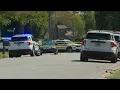 Police Henrico man arrested after assault led to chase that ended with crash