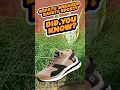 sneaker terbaru #sepatusneakerspria https://vt.tiktok.com/ZSkTVyEUy/