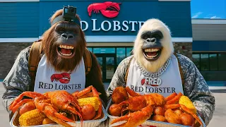 NEW RED LOBSTER SEAFOOD BOIL with Bigfoot and Yeti
