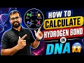 How to calculate Hydrogen Bond In DNA