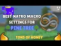 The BEST Natro Macro Settings for Pine Tree Field Lots of honey