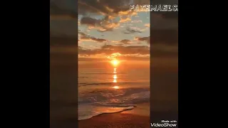 اي حاجه تيجي من من ريحه الحبابين حاله واتس حزينه عمرو دياب 