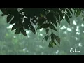 Download Lagu Rainstorm Sounds for Relaxing, Focus or Deep Sleep - Nature White Noise
