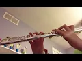 Pokemon Red/Blue- Route 1 (Flute Cover)