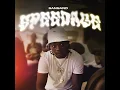 Speedage - Sansand