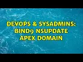 DevOps SysAdmins BIND9 nsupdate apex domain 2 Solutions