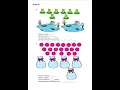 Maths Worksheets - Grade 3 Division