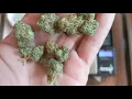 Cherry Punch 24 Trulieve