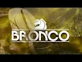 Bronco - Oro (LETRA)