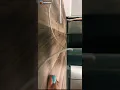 Ebony dirty feet