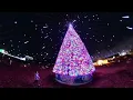 Lagu Winter City Lights 2022 Olney,Maryland