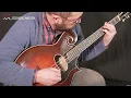 Lawrence Smart Mandocello Demo from Peghead Nation