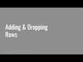 4 9 Adding Dropping Rows