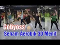 Download Lagu SENAM AEROBIK 30 MENIT BIKIN GOBYOSS