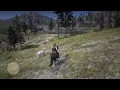 Red Dead Redemption 2 Male Few Spotted Appaloosa Locations As Arthur