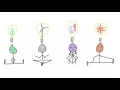 Climate Cartoons - The Difference Between Hard and Soft Path Energy