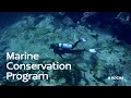 A Rocha USA - Marine Conservation Program