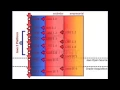 Curso de Programacion Java Basico - Cap 1
