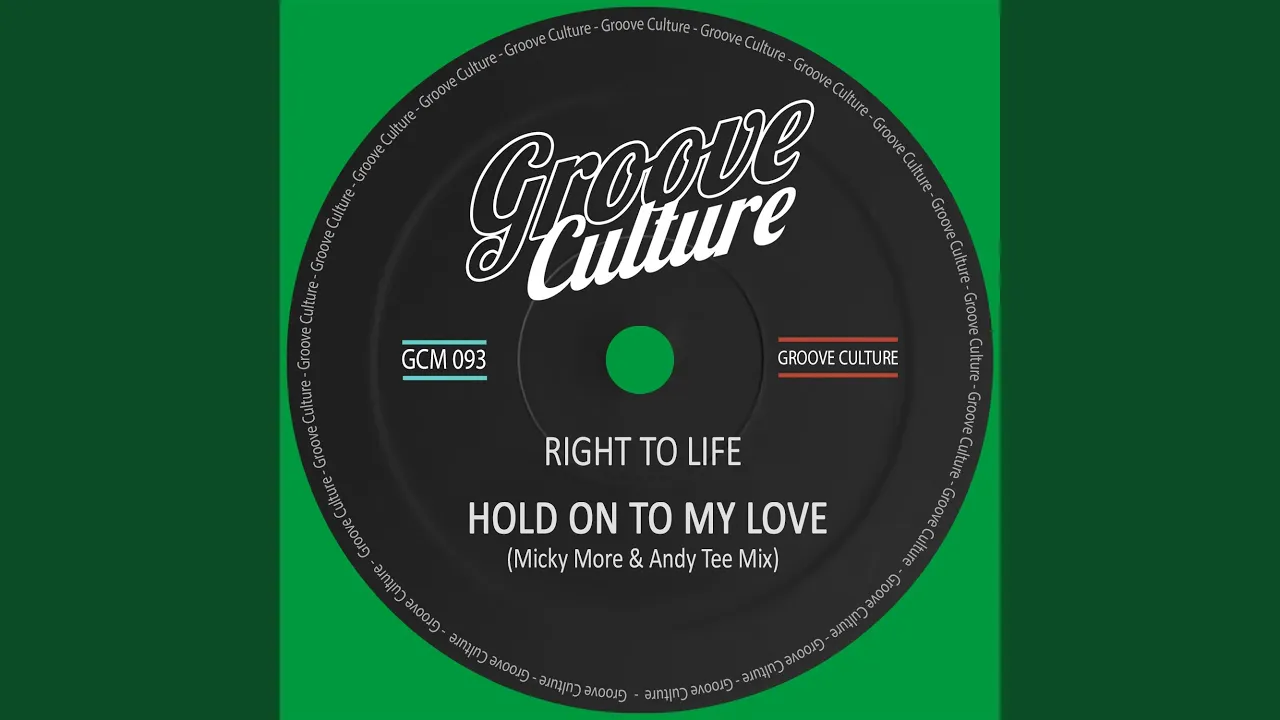 Hold On To My Love (Micky More & Andy Tee Mix)