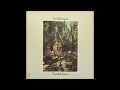 Van Morrison – Wild Night