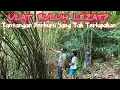 Download Lagu ULAT BULUH LEZAT? Tantangan Berburu Yang Tak Terlupakan