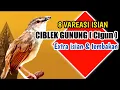 Download Lagu Vareasi 8 Tembakan Burung Cigun ( Ciblek Gunung ) Full Durasi