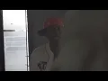 HoneyKomb Brazy "HoneyKomb Jr. vs HoneyKomb Brazy" (Official Music Video)