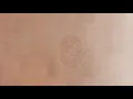 TULUS - Labirin (Official Lyric Video)