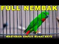 Download Lagu Burung Serindit Gacor Bikin Emosi Semua Burung #serindit #masteran #birds