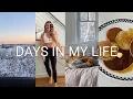 Lagu VLOG: doctors appt, cozy time at home, lighthouse coffee run, etc