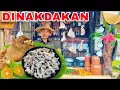 Download Lagu DINAKDAKAN RECIPE SA QUEZON PROVINCE | BUHAY BUKID