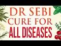 DR SEBI BIBLE 12 BOOKS IN 1 Complete Guide with Ancient Natural Remedies to Live Disease-Free