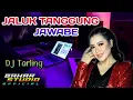 Download Lagu JALUK TANGGUNG JAWABE - TIA INOVA // DJ TARLING REMIX