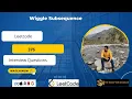 Wiggle Subsequence Programming