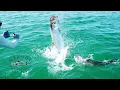 BEST TARPON SEASON YET SLIVER of SILVER - A Tarpon Film