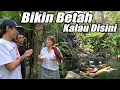 Download Lagu Serasa Berwisata di Alam Kalau Sudah masuk Aviari di Solo