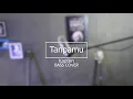 Download Lagu kapten Tanpamu Bass Cover MP3