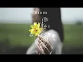 Download Lagu Binhi - Arthur Nery | Music Video