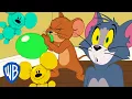 Download Lagu Tom \u0026 Jerry | Balloon Blowing Party | WB Kids