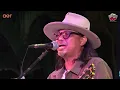 GUGUN BLUES SHELTER - BAD POLITICAN - ALL YOU CAN HEAR GIGS 2024