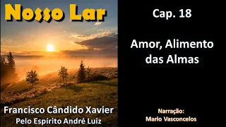 Nosso Lar - Chico Xavier - Cap. 18 - Amor, Alimento das Almas - Audiolivro - Voz Humana
