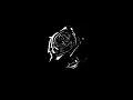 what you know bout love - pop smoke (slowed + reverb)
