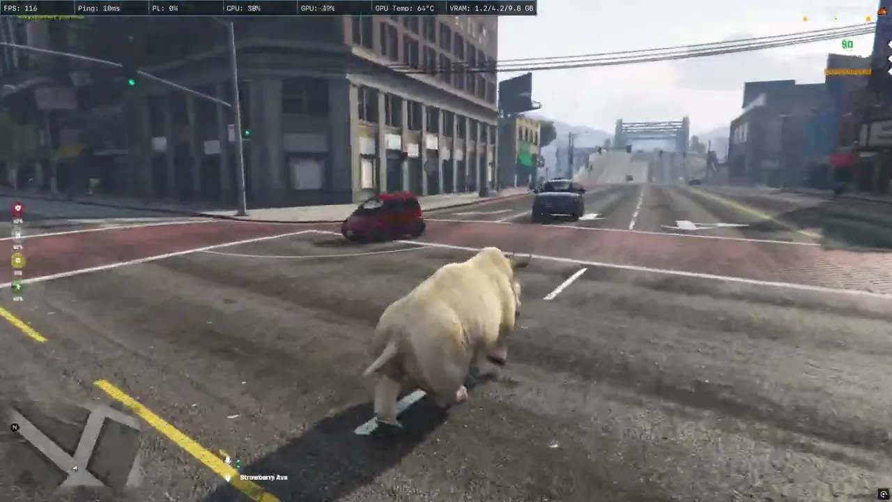 Rhino