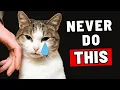 Download Lagu 10 Things a Cat Will NEVER Forgive