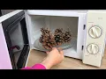 Amazing Idea Look What I Did By Heating Pine Cones In The Oven