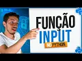 Funcao Input no Python - Pedindo Informacoes Inclusive Senhas