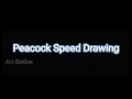 Speed Drawing Peacock Peafowl Art Station