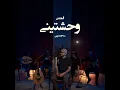 وحشتيني