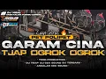 Lagu DJ TRAP BATTLE PET POLIPET - MIDDLE OGROK OGROK X DOMPENG YANG LAGI VIRAL🔥- BY TSSB PRODUCTION 